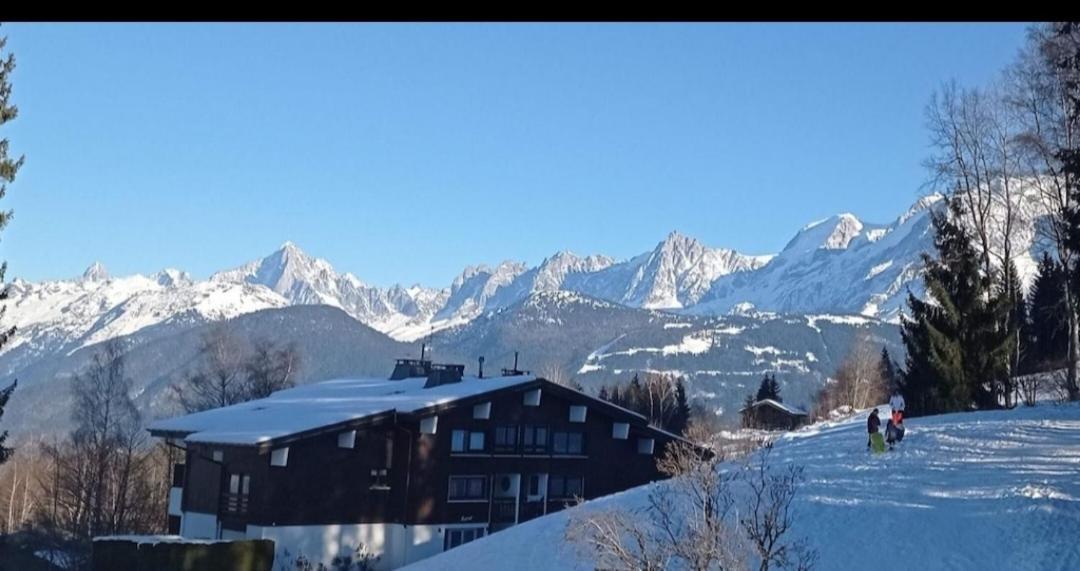 Studio Porte Du Mont Blanc Combloux Aux Pieds Des Pistes Ngoại thất bức ảnh