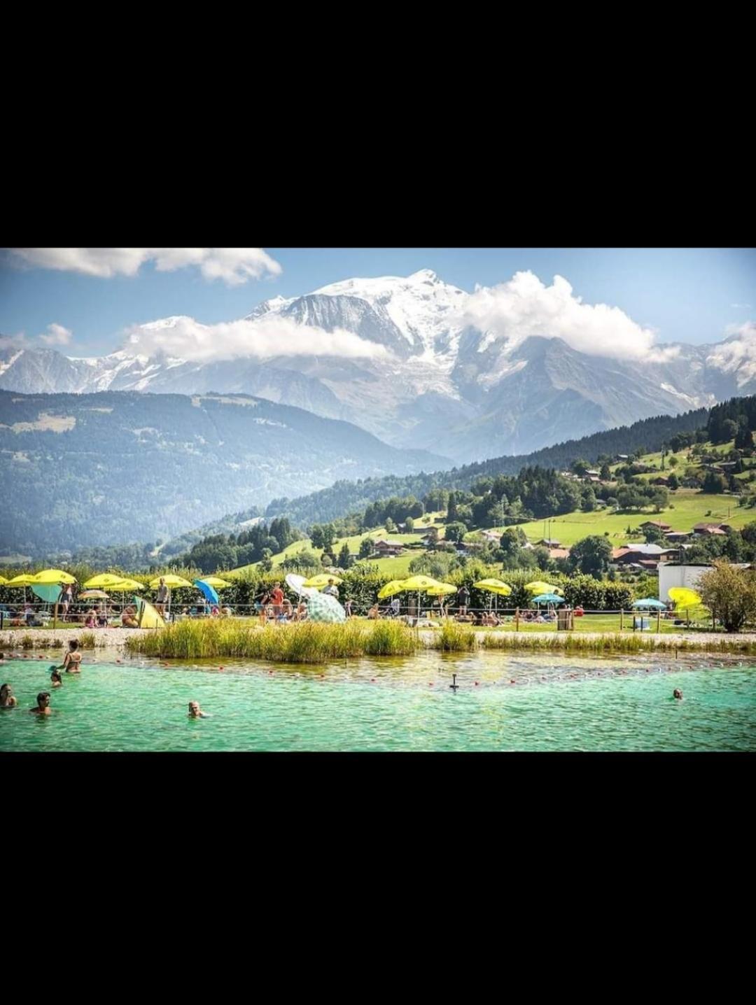 Studio Porte Du Mont Blanc Combloux Aux Pieds Des Pistes Ngoại thất bức ảnh